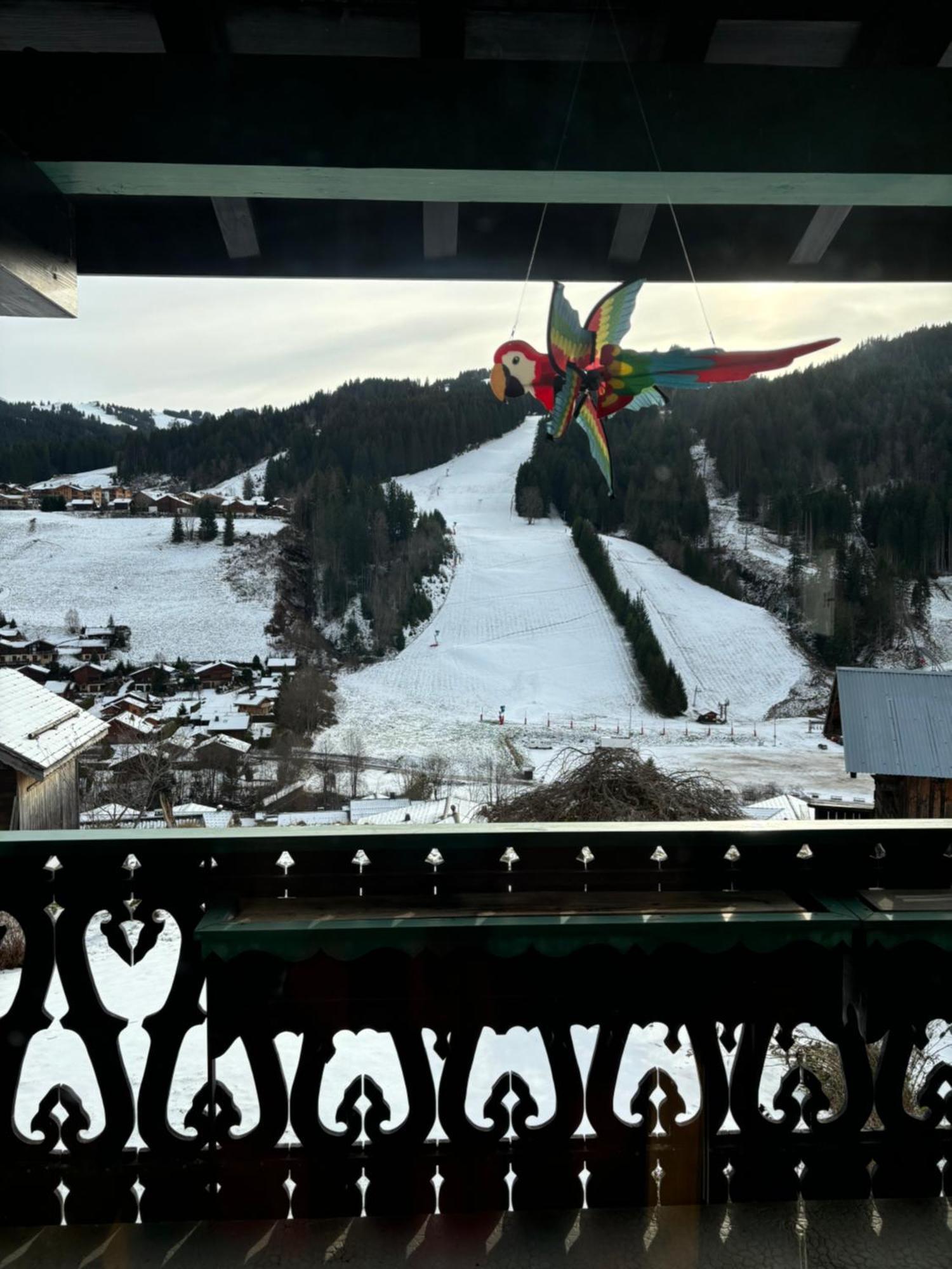 Chalet Fleur Des Alpes Les Gets Eksteriør bilde